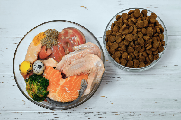 Přechod z barfu na granule